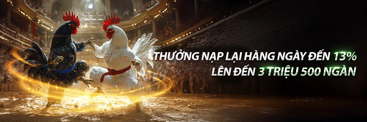 Đá Gà win55 trang chủ 2026: Sân đấu kịch tính